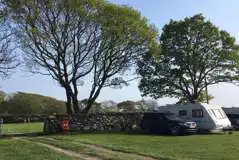 Electric grass pitches