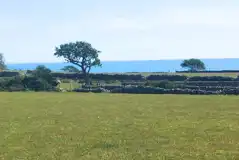 Non electric grass pitches