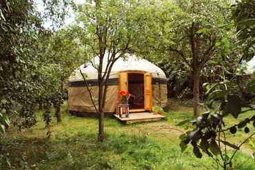 Orchard yurt at Stamford Meadows Glamping