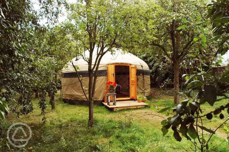 Orchard yurt