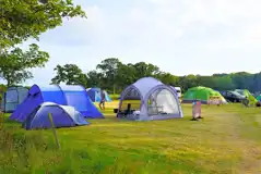 Non electric grass pitches