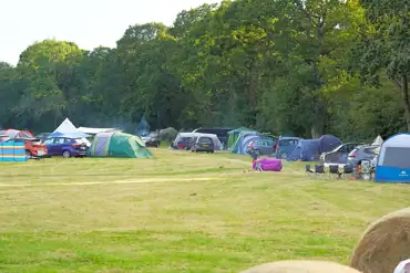 Non electric grass pitches