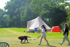 Non electric grass pitches