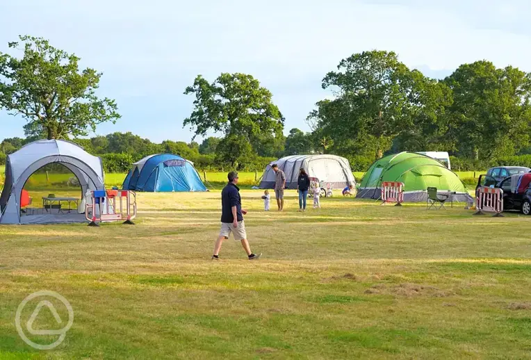 Non electric grass pitches