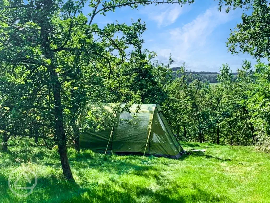 Non electric grass tent pitches 