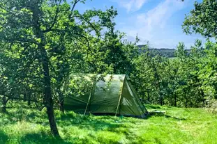 Bowhayes Farm Camping and Glamping, Ottery St Mary, Devon (2.8 miles)