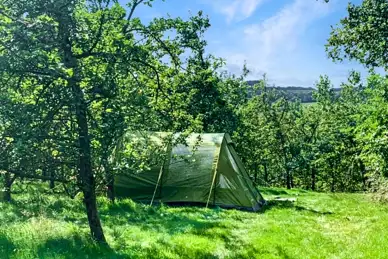 Bowhayes Farm Camping and Glamping