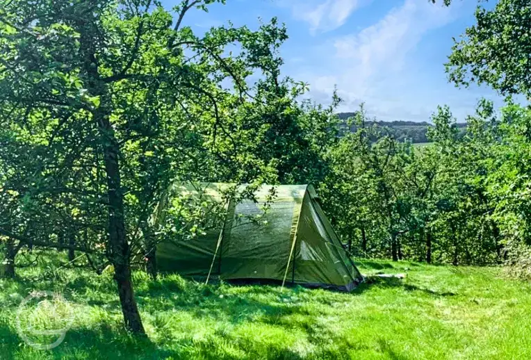 Non electric grass tent pitches 