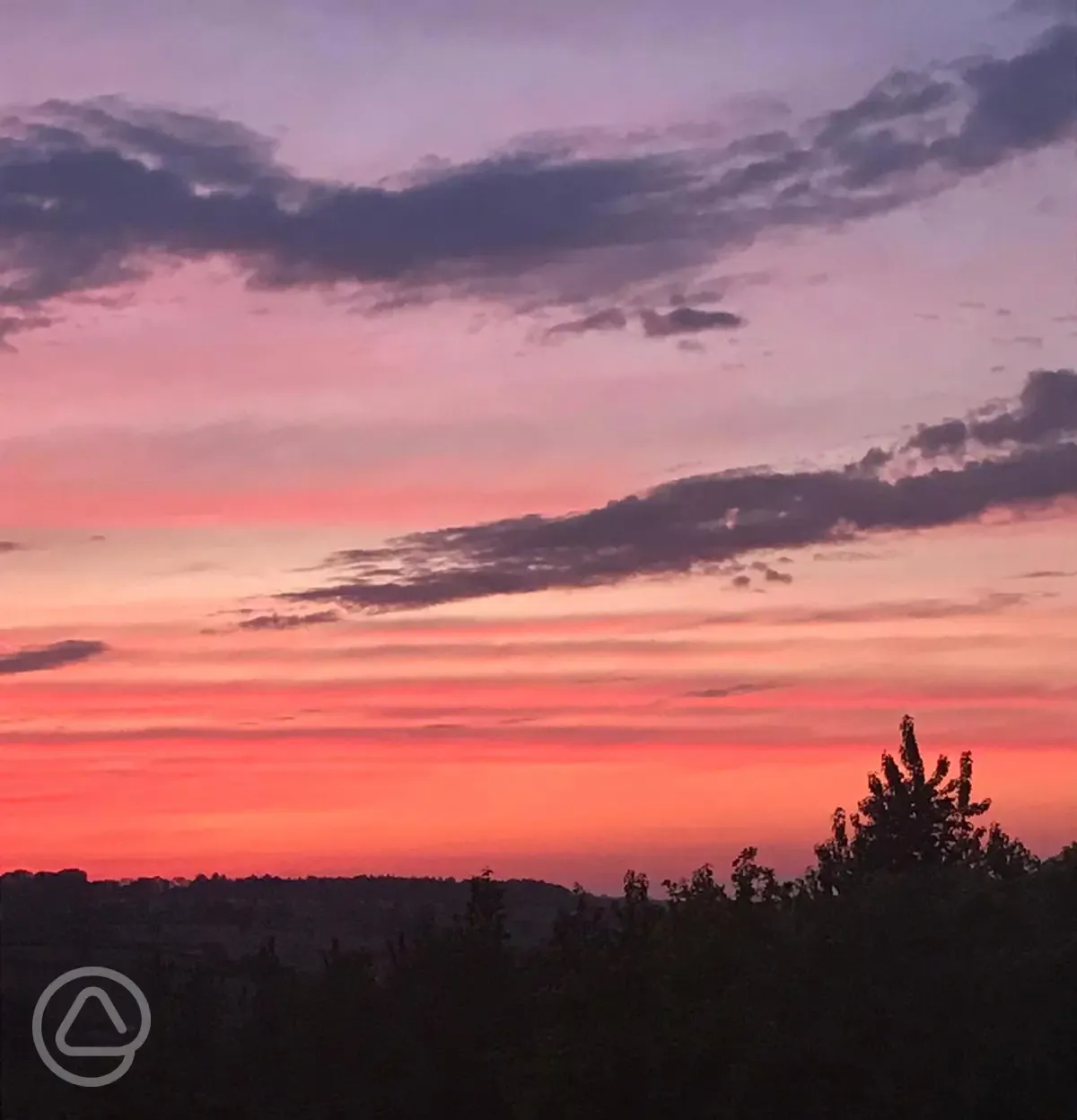 Sunset over the orchard