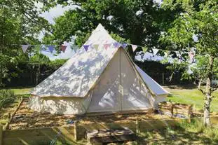 Bowhayes Farm Camping and Glamping, Ottery St Mary, Devon (11.4 miles)