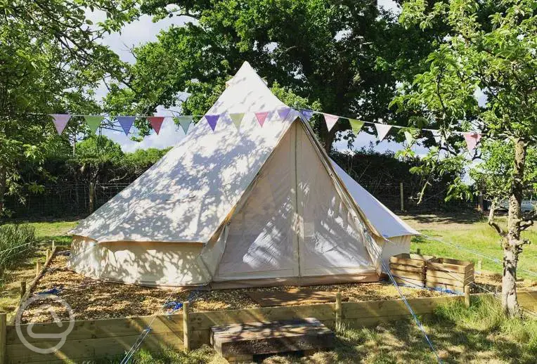 Bell tent at Bowhayes Farm Camping and Glamping