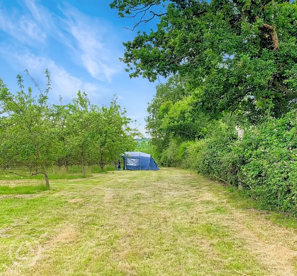 Non electric grass tent pitches 