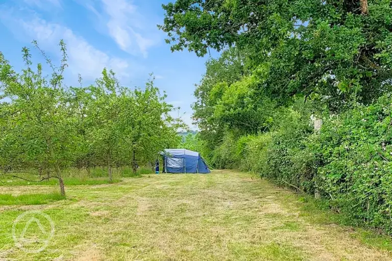 Non electric grass tent pitches