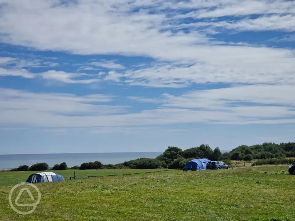 Non electric grass pitches 