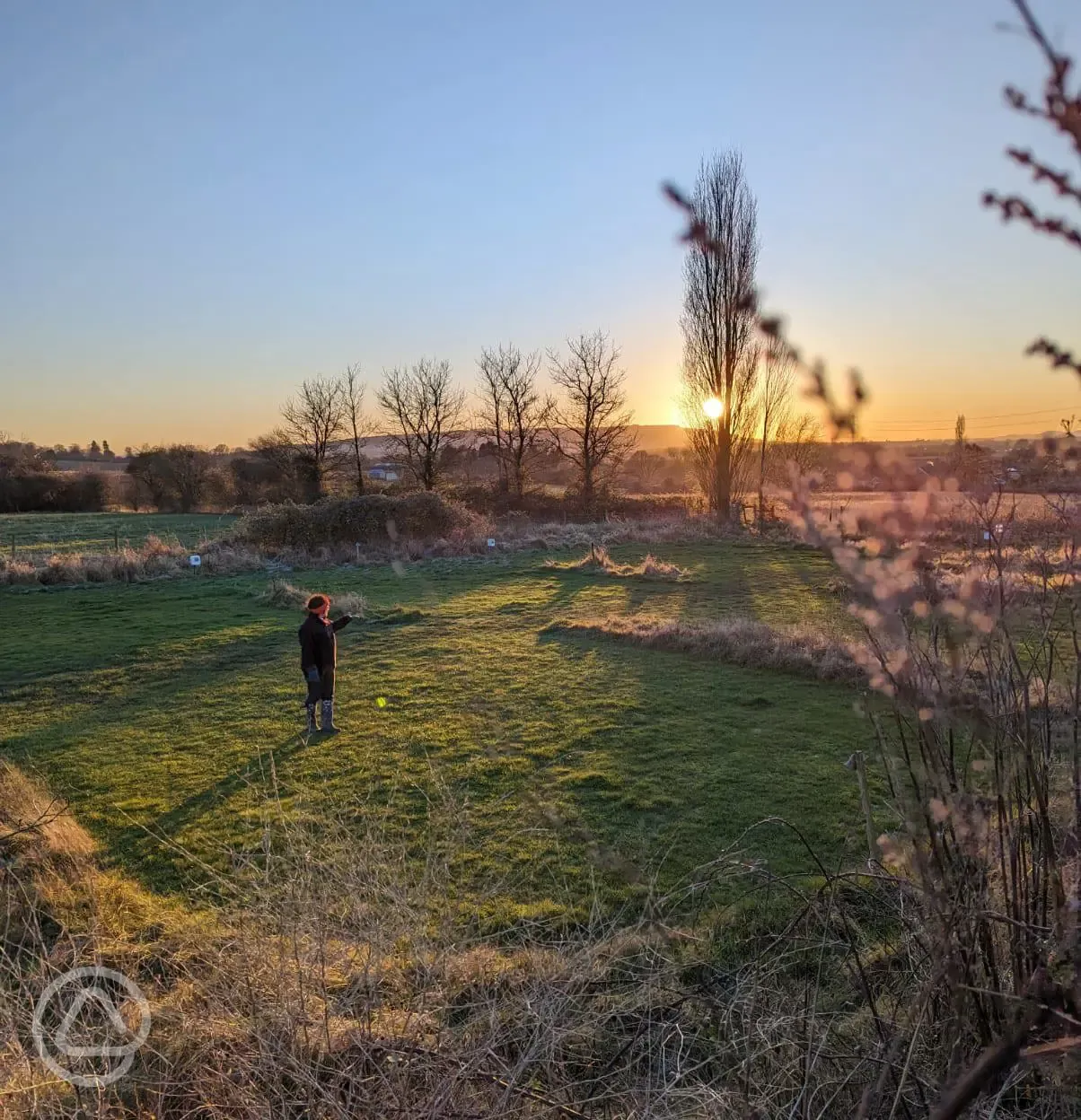 Grass pitches at sunset