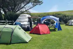 Grass pitches with campervans and tents Grass pitches with campervans and tents