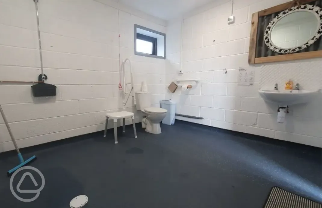 Disabled bathroom with shower, toilet, sink and mirror