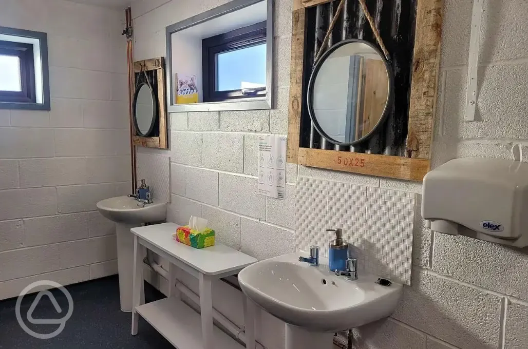 Sinks with mirrors