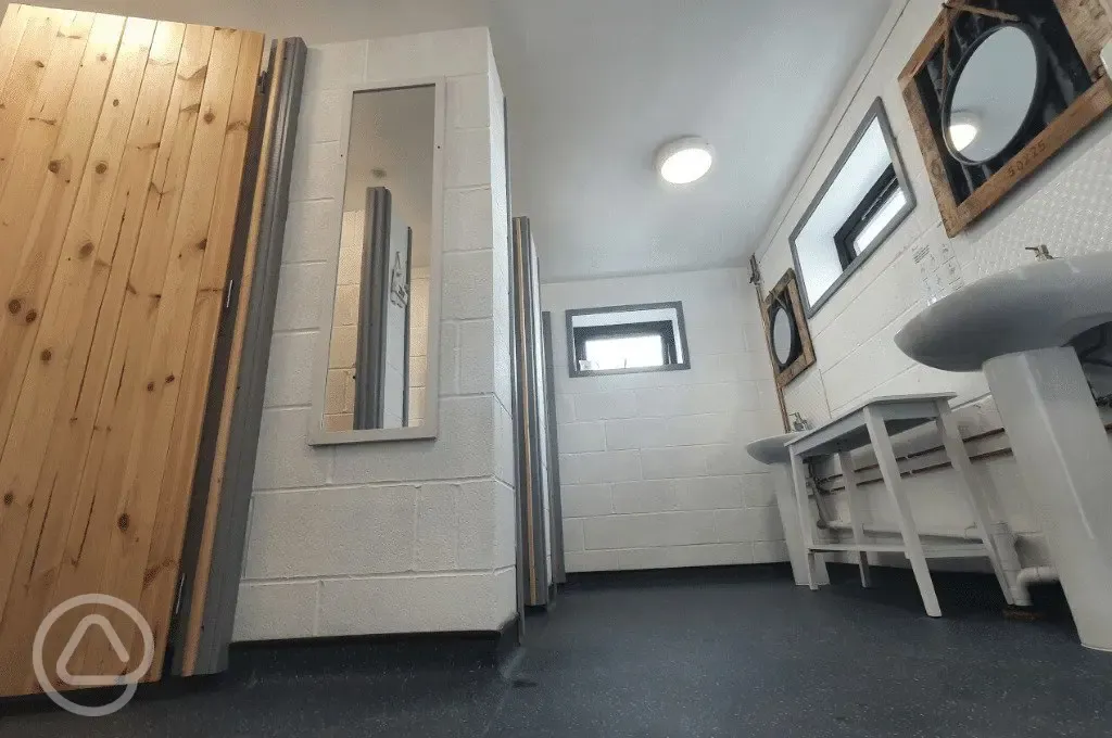 Ladies toilets with mirrors and sinks