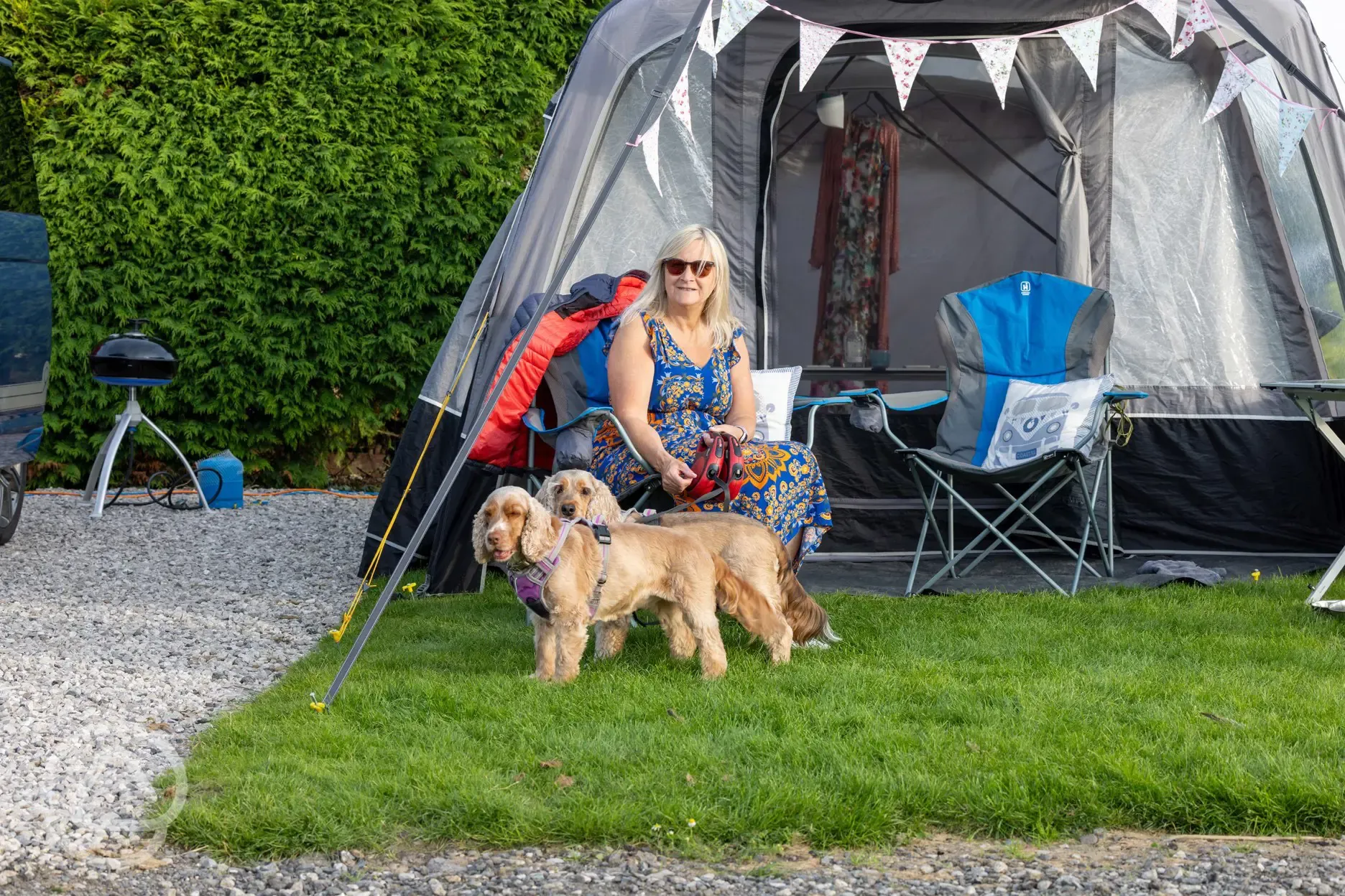 Dog friendly camping