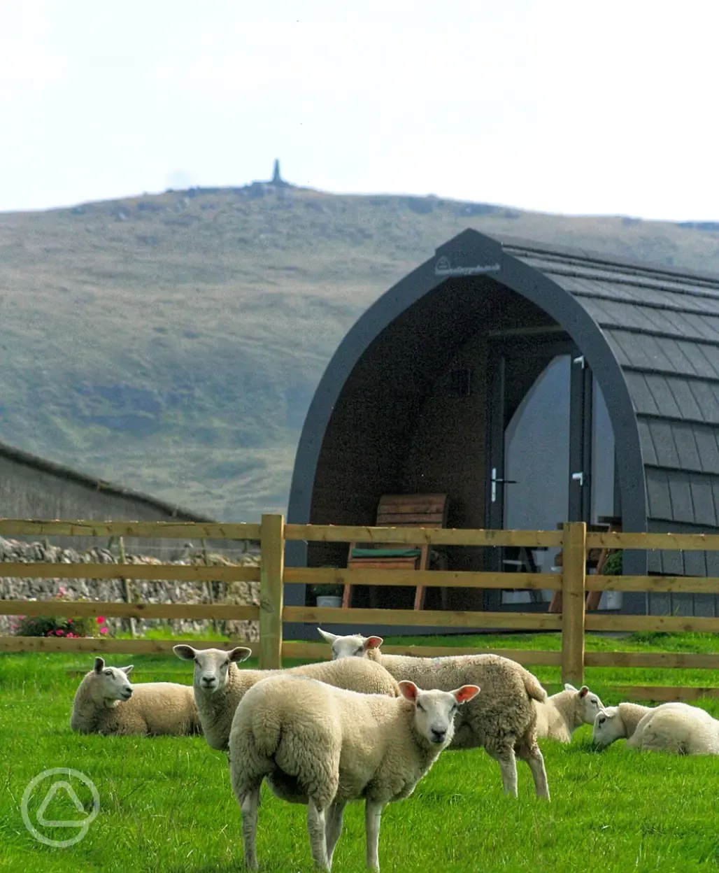 Glamping pod and sheep