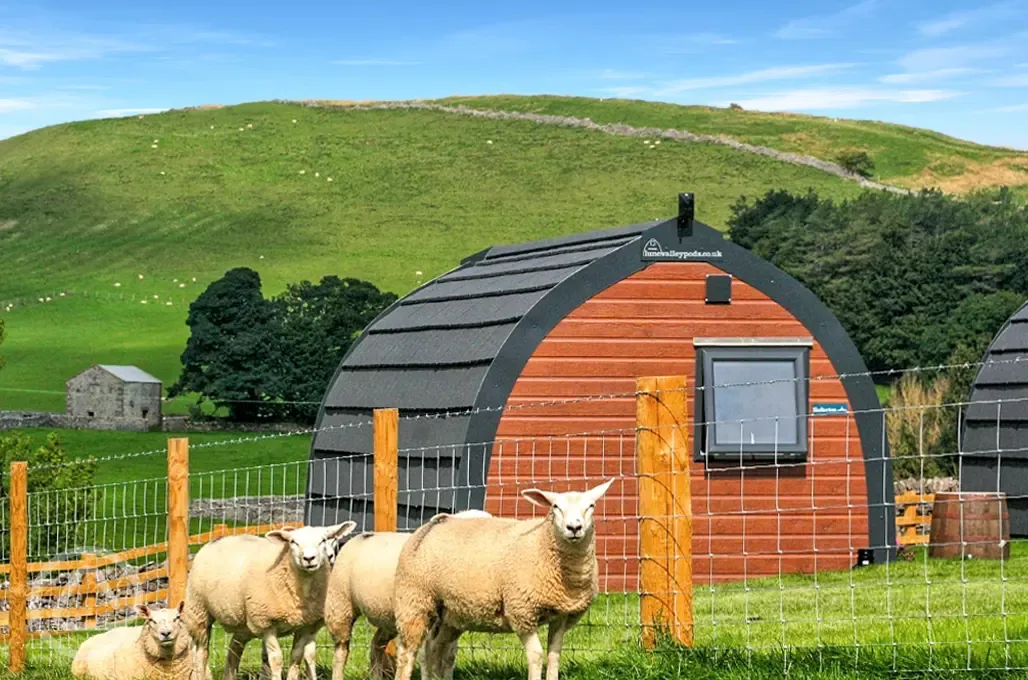 Glamping pod and sheep