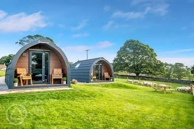 Glamping pods