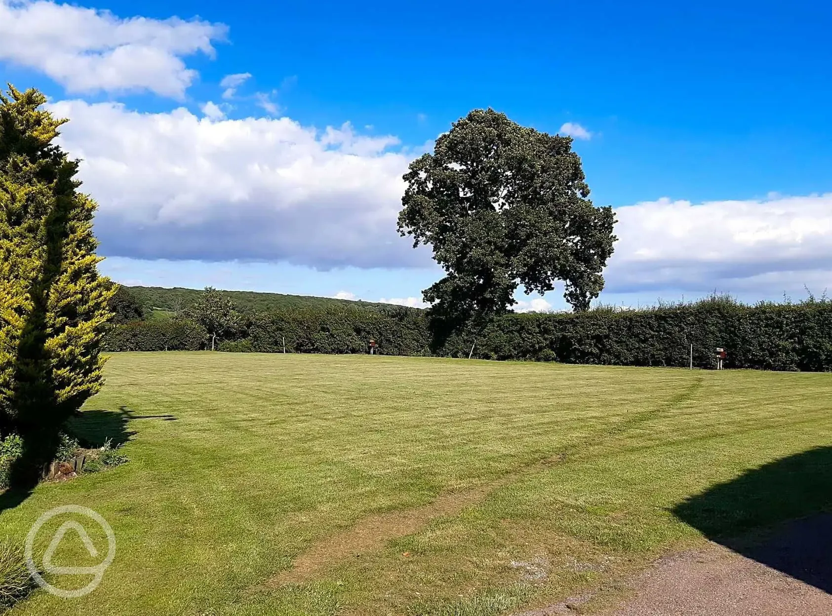 Electric grass pitches