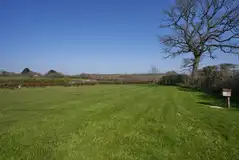 Electric grass pitches (10m x 6m)