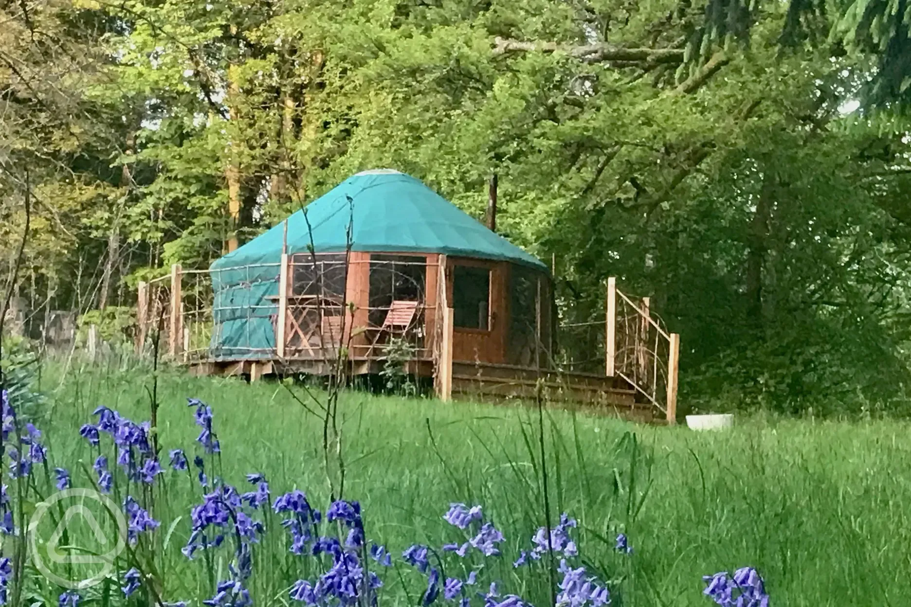 Elder Yurt in Spring