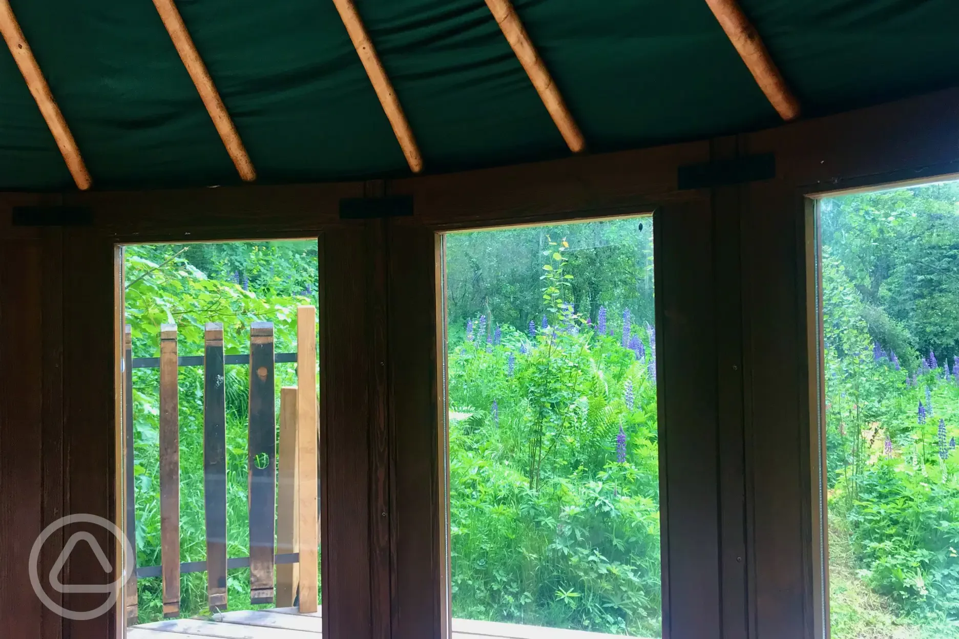 Bramble yurt view