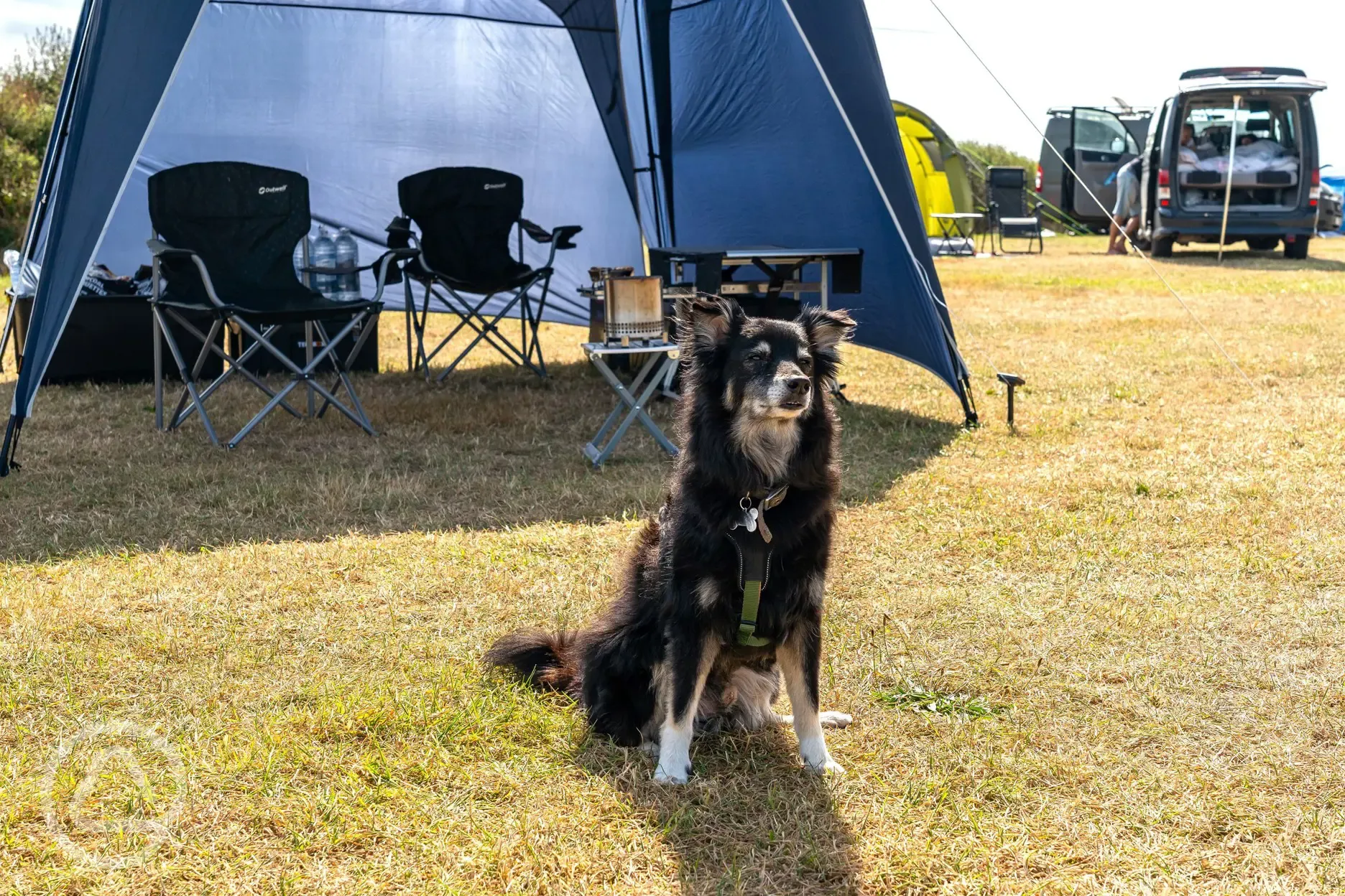 Dog friendly