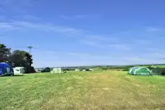 Non electric grass tent pitches