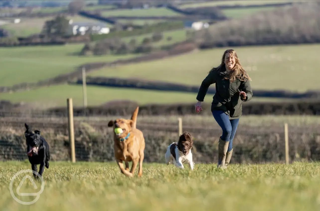 Private secure dog walking field