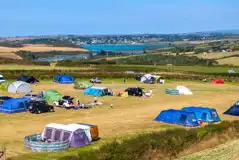 Non electric grass pitches with views over Padstow and the estuary Non electric grass pitches with views over Padstow and the estuary