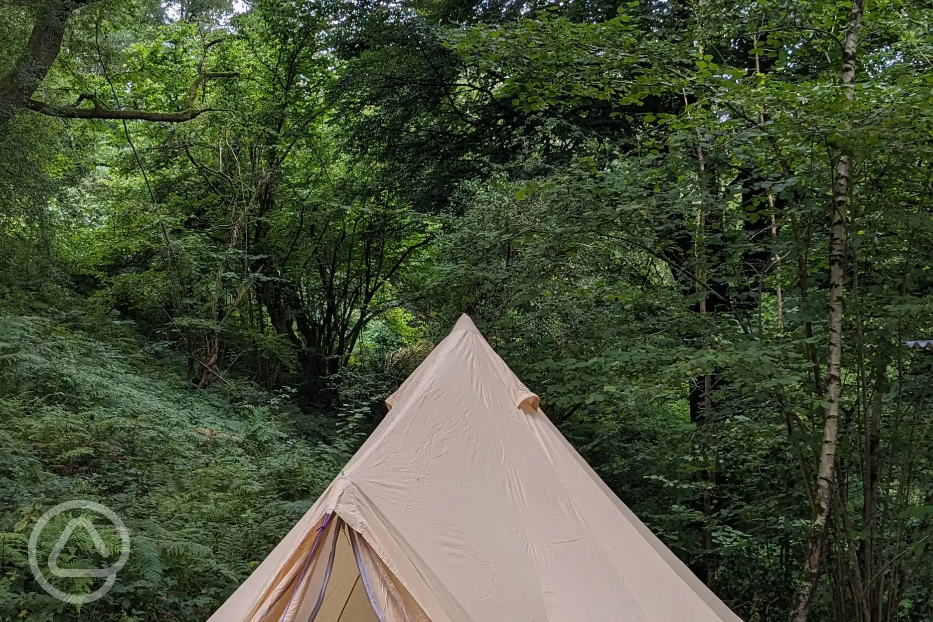 Bryn Hafod bell tent