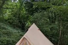 Bryn Hafod bell tent