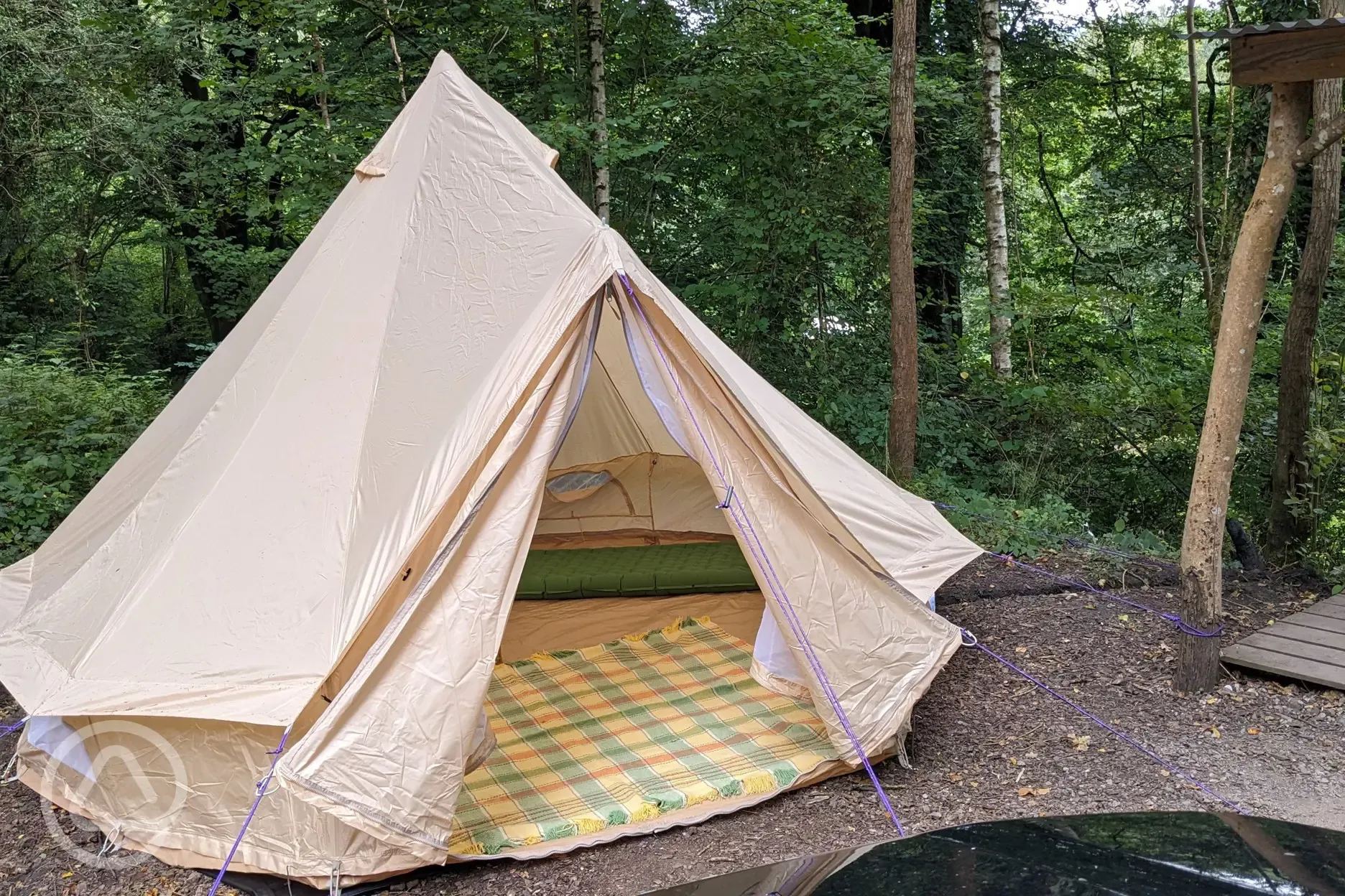 Bryn Hafod bell tent