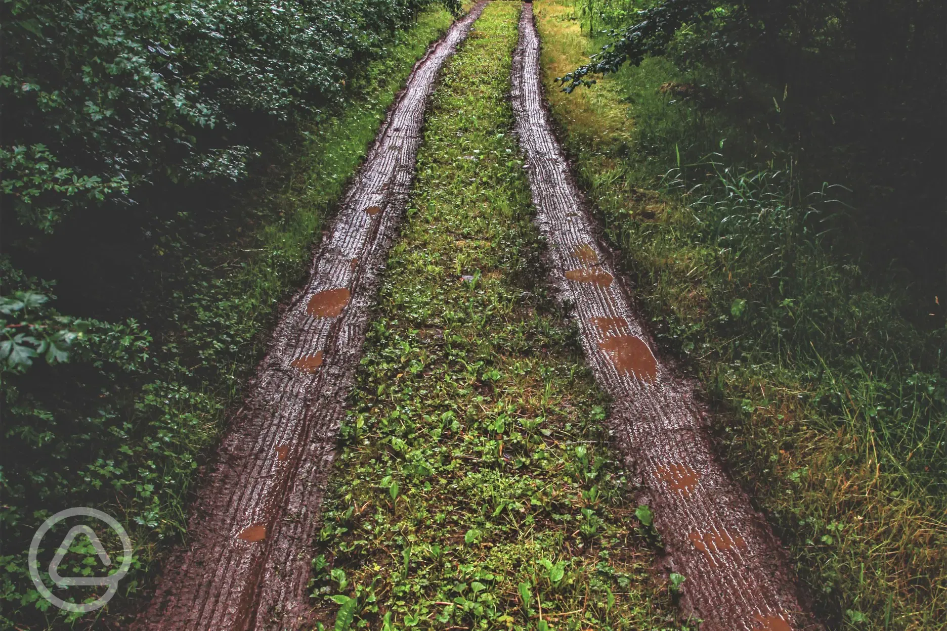 Path down to the site