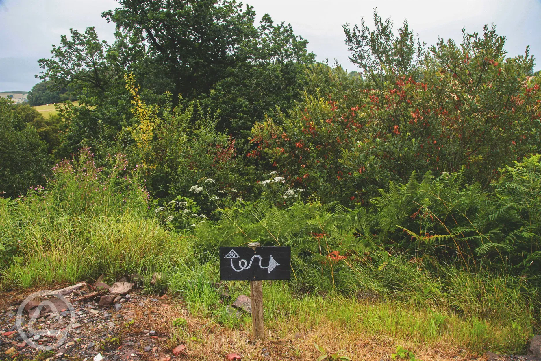 Path down to the site