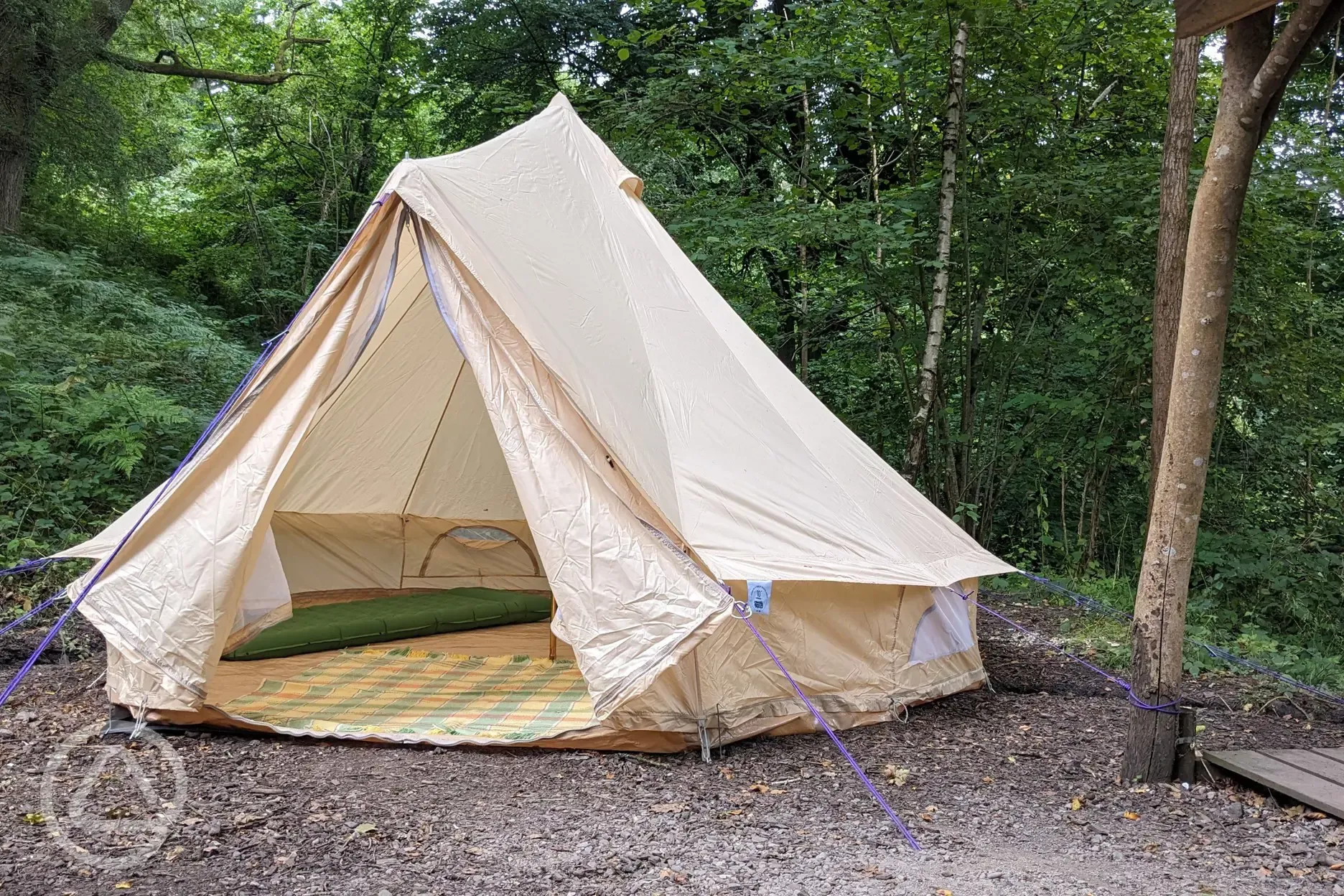 Bryn Hafod bell tent