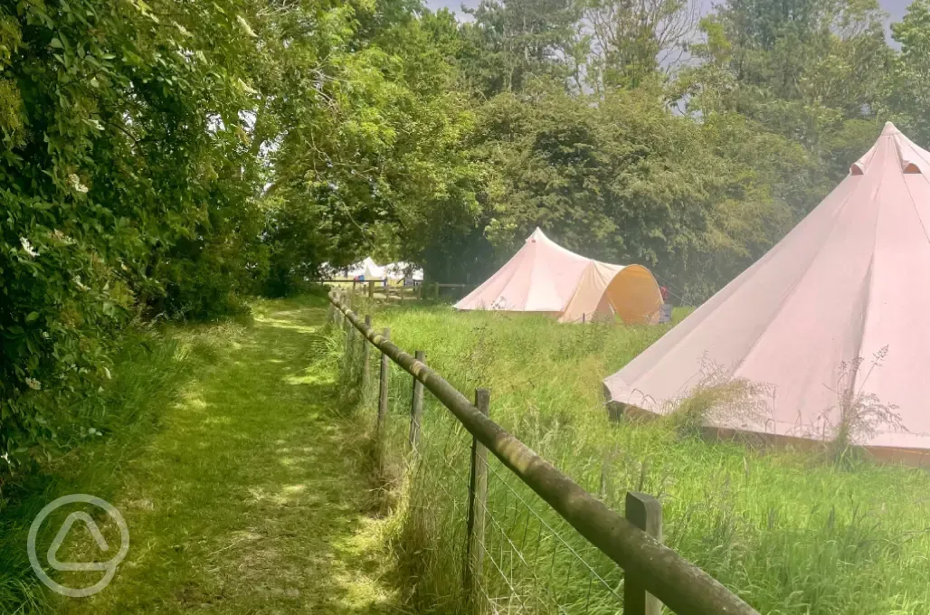 Bell tents in private woodland 