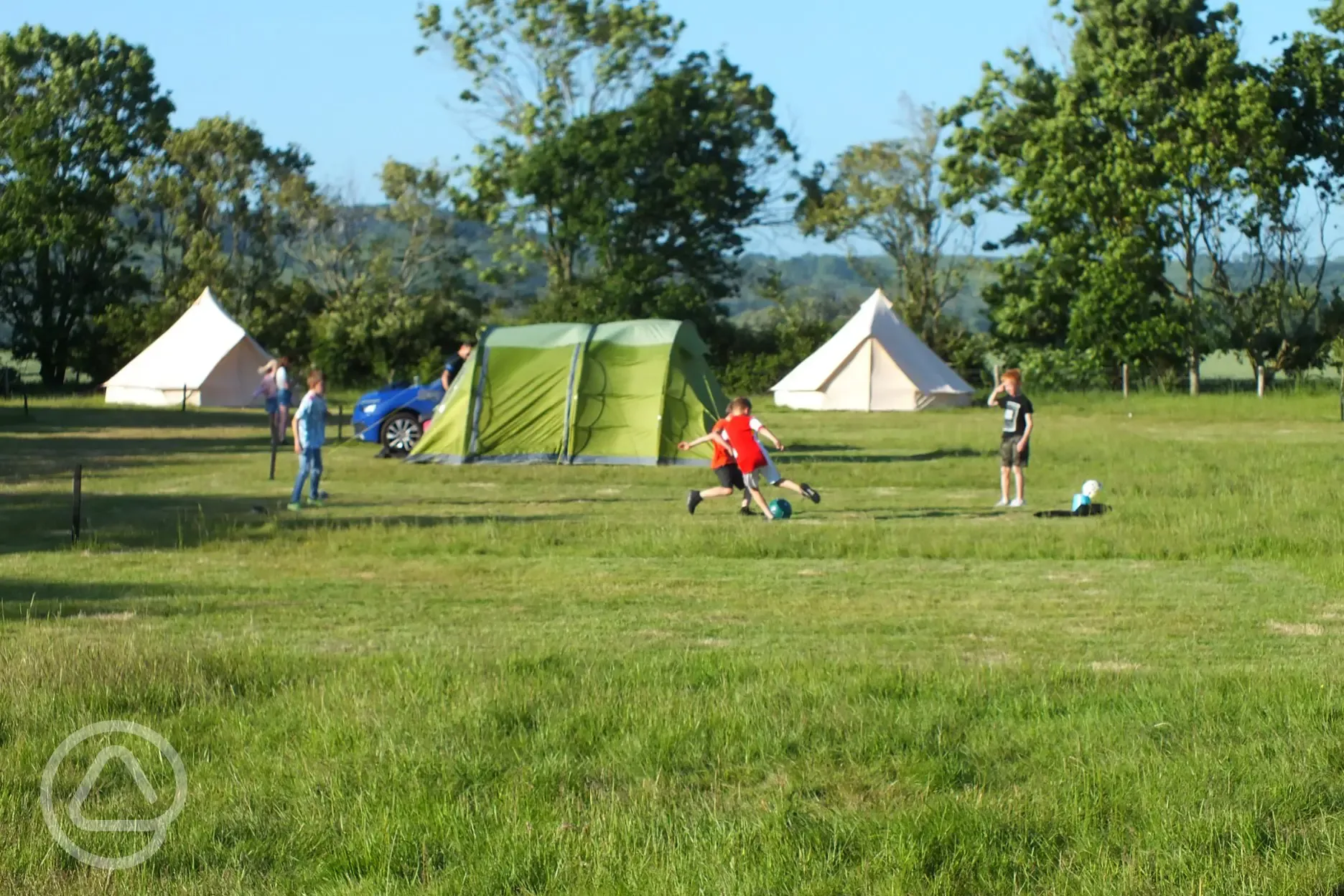 Grass pitches