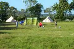 Grass pitches