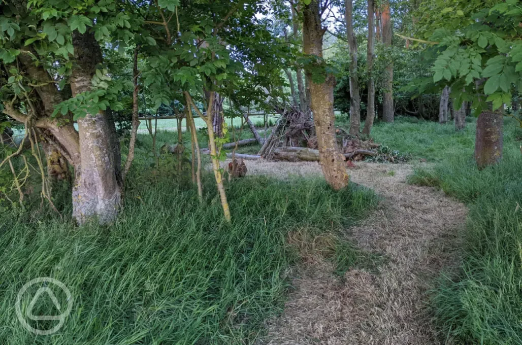 Woodland dens are a must