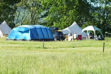 Grass pitches
