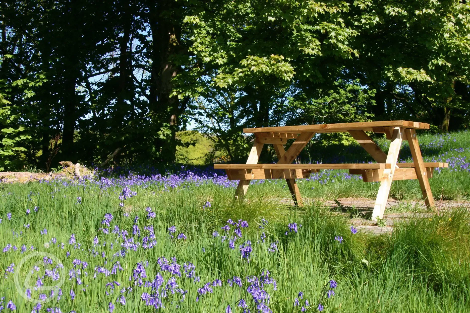 Picnic bench for each pod