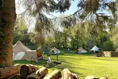 Bell tents at Owley Woods Glamping surrounded by woodland
