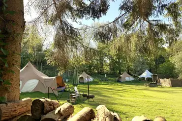 Bell tents at Owley Woods Glamping surrounded by woodland