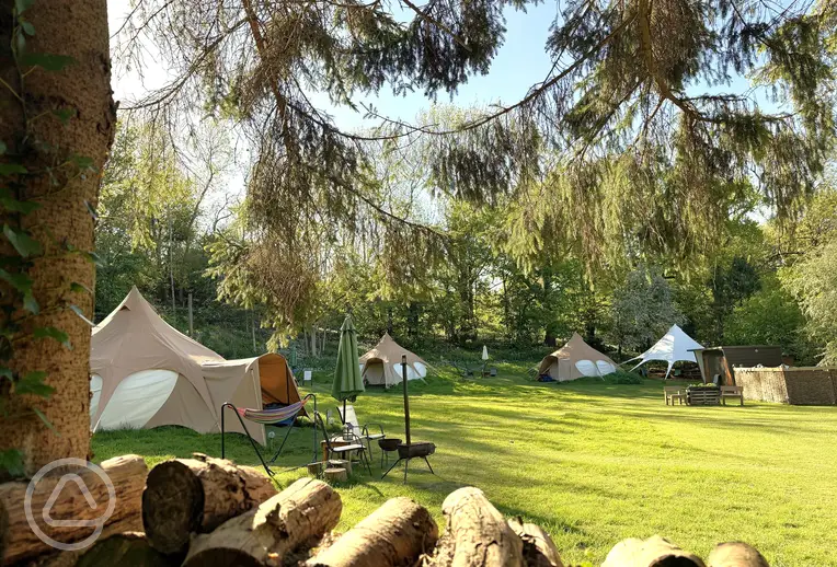 Bell tents at Owley Woods Glamping surrounded by woodland